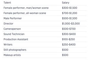 how much do porn directors make